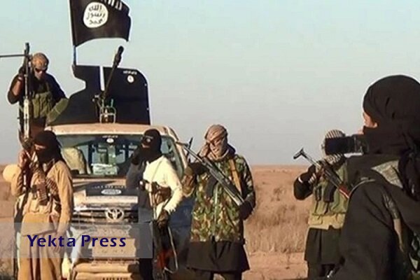 داعش ۴ شهروند عراقی را در الانبار ربود