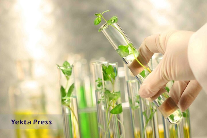 بزرگترین ذخایر ژنتیک گیاهی جهان اسلام در ایران نگهداری می‌شود