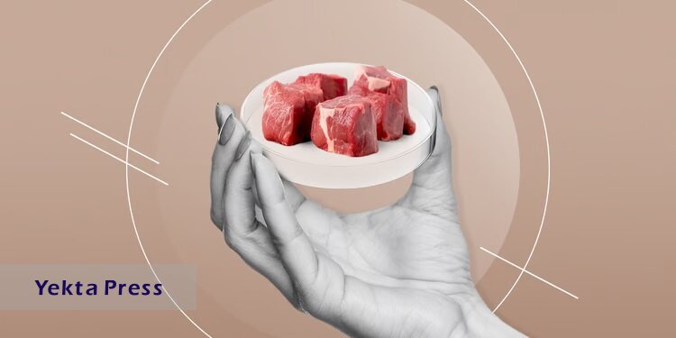 مزایا و معایب گوشت مصنوعی در یک نگاه