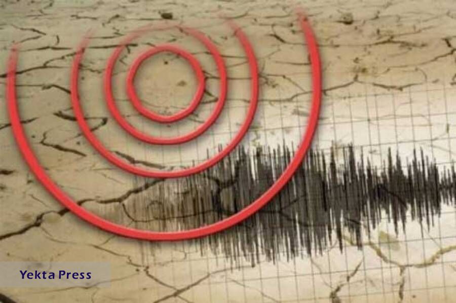 وقوع زلزله ۴.تری در بوشهر