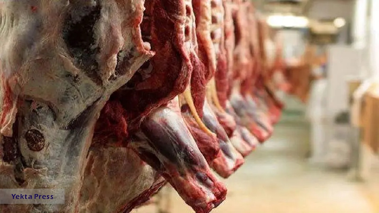 واردات گوشت، راهی برای ایجاد تعادل در بازار