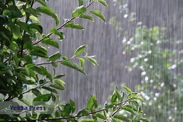 بارش دما در استان‌های شمالی