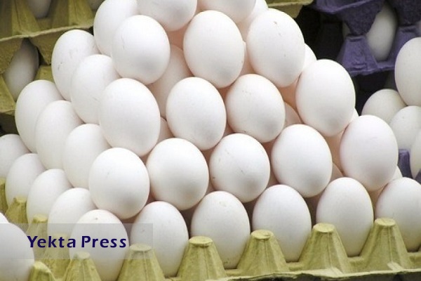 درخواست افزایش ۱۰ هزار تومانی قیمت تخم مرغ از دولت