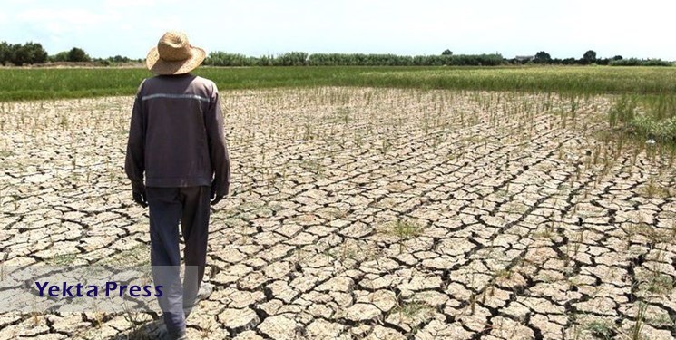 برنامه عراق برای مقابله با خشکسالی‌های پیش رو