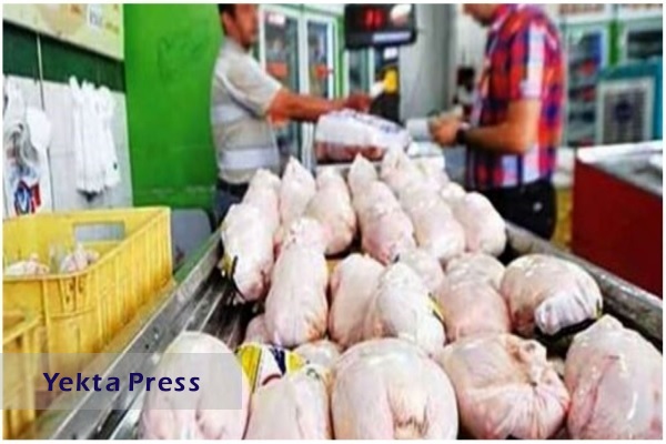 اتحادیه مرغداران گوشتی:بازار مرغ به تعادل نسبی رسیده است