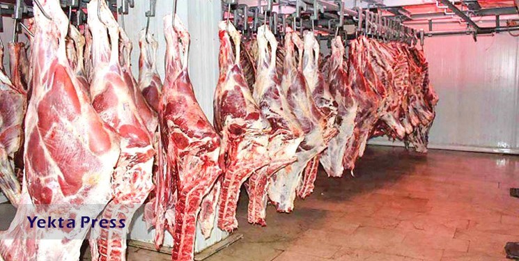 اجرای طرح تولید قراردادی گوشت قرمز در کشور با ظرفیت‌ 40 هزار تن