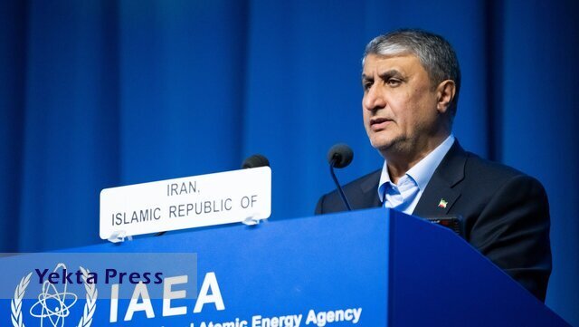 رئیس سازمان انرژی اتمی: ایران ۱۰ برابر دیگر کشور‌ها مورد بازرسی آژانس قرار می‌گیرد