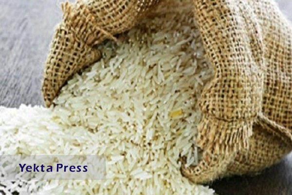 ممنوعیت واردات برنج تا ابتدای آذر