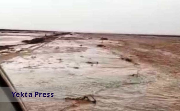 سیلاب محور دیهوک - کرمان را مسدود کرد