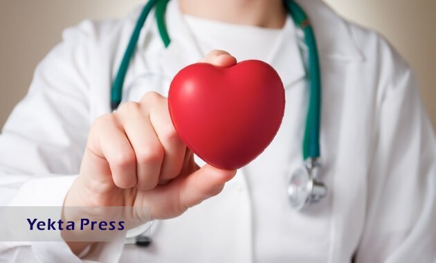 راهکارهای حفظ سلامت قلب از زبان ۴ متخصص