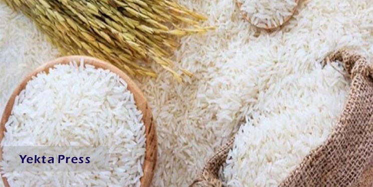 توزیع برنج خارجی آغاز شد