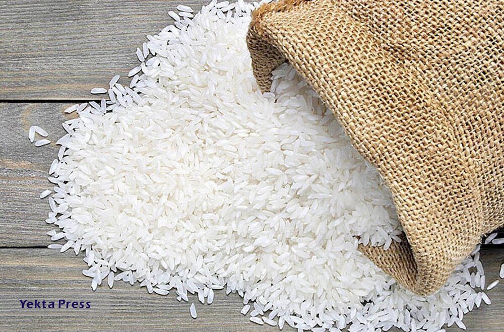 ریزش ۴۰ درصدی قیمت انواع برنج ایرانی