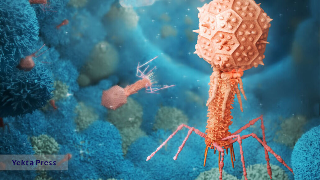 سلول‌های سرطانی با این ویروس‌ها انرژی می‌گیرند!