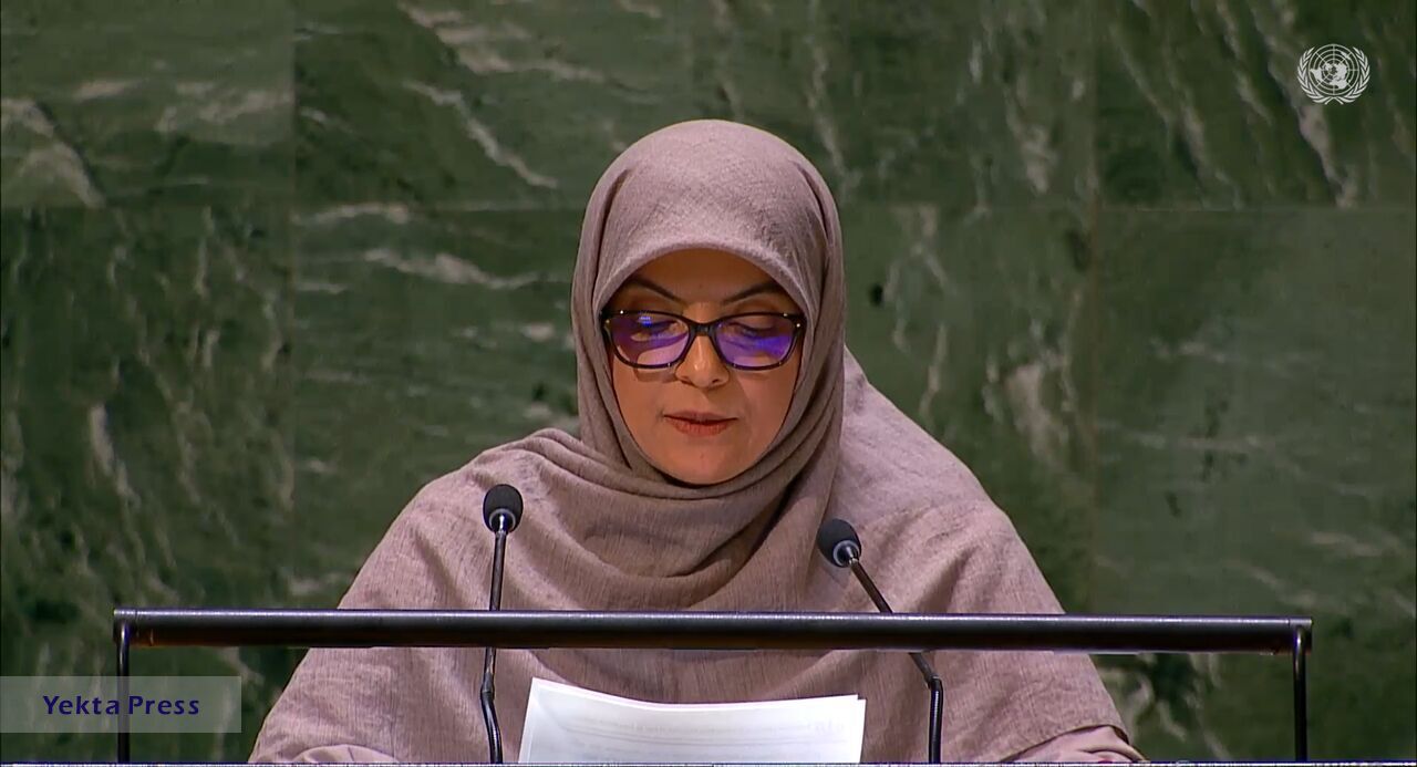 سفیر ایران در سازمان ملل: جمهوری اسلامی ایران برای موضوع تغییرات اقلیمی بیشترین اهمیت را قائل است
