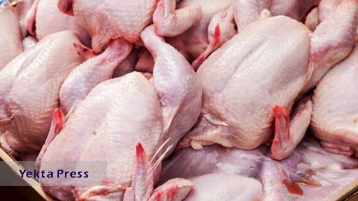 تولید ماهانه ۲۵۰ هزارتن گوشت مرغ در کشور
