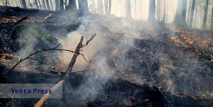 آتش‌سوزی در جنگل نمک آبرود چالوس