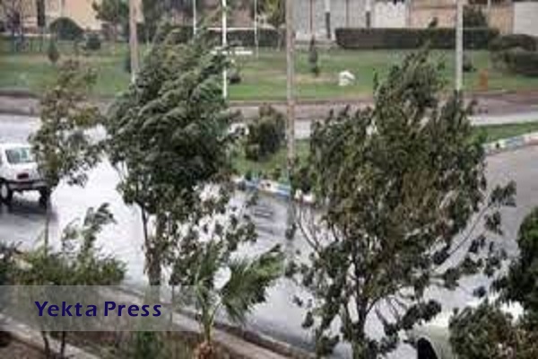 وزش باد شدید و باران در تهران