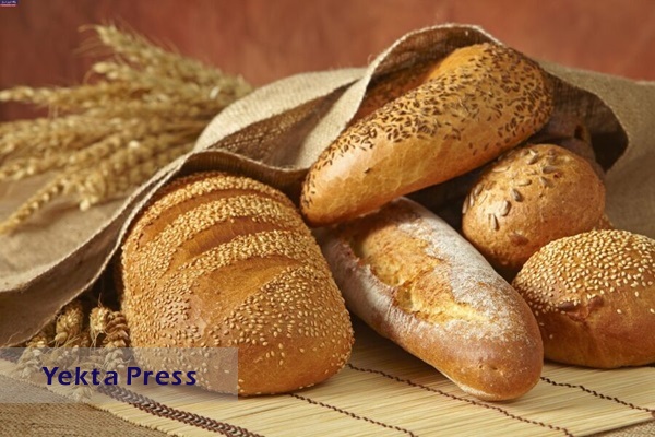 وزارت جهاد کشاورزی:صادرات نان صنعتی منتفی شد