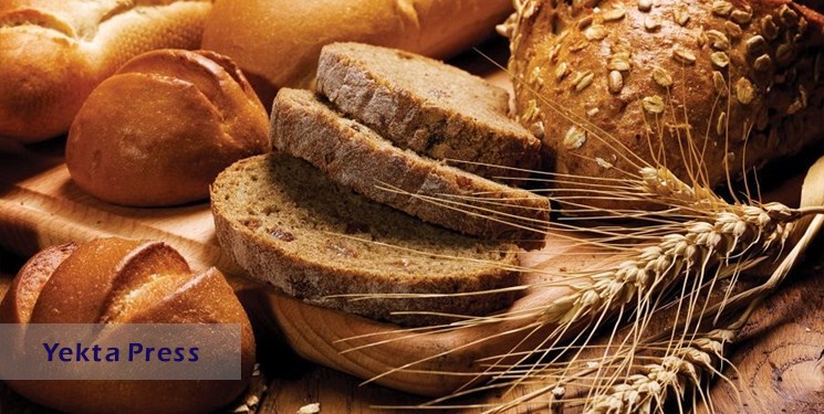 صادرات نان صنعتی به دلیل یارانه آرد تخصیصی ممنوع شد‌