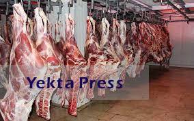 واردات گوشت بازار را به تعادل رساند