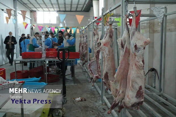 عرضه گسترده گوشت قرمز گرم با قیمت مصوب در پایتخت