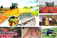 صادرات بخش کشاورزی بیش از ۲۰ درصد رشد کرد